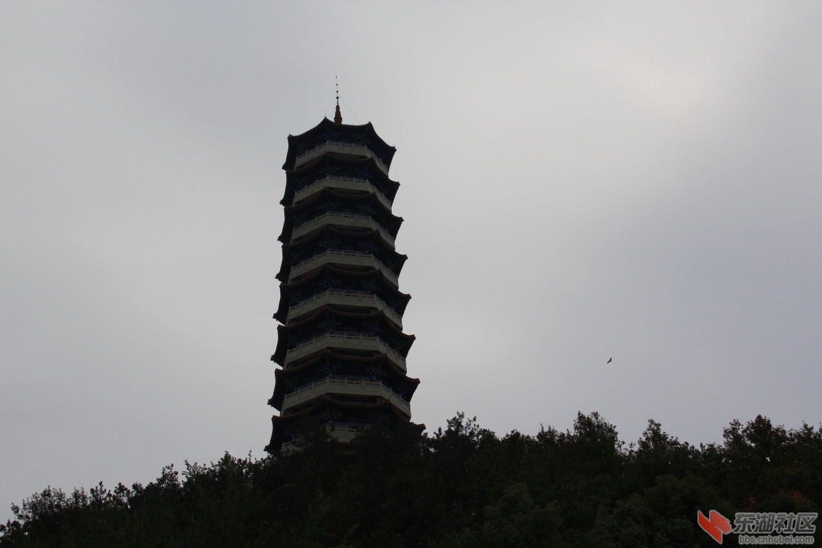IMG_17061.jpg