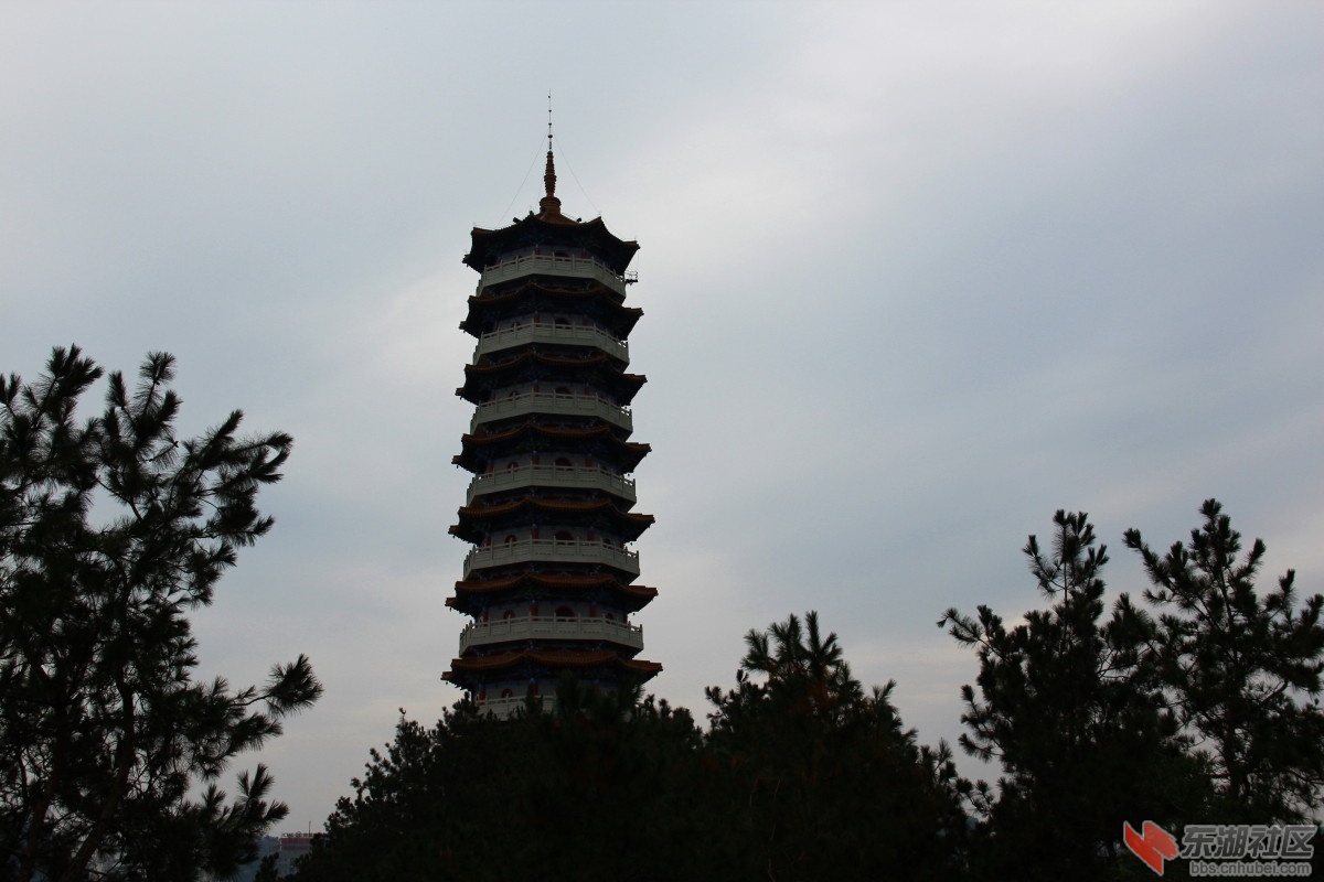 IMG_17581.jpg