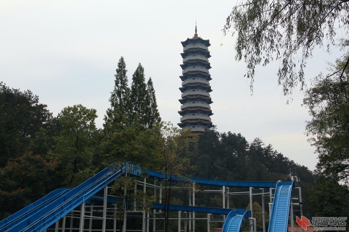IMG_17831.jpg