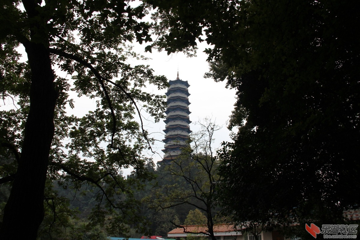 IMG_17841.jpg