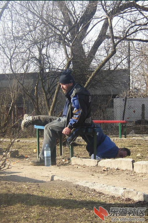 14.jpg