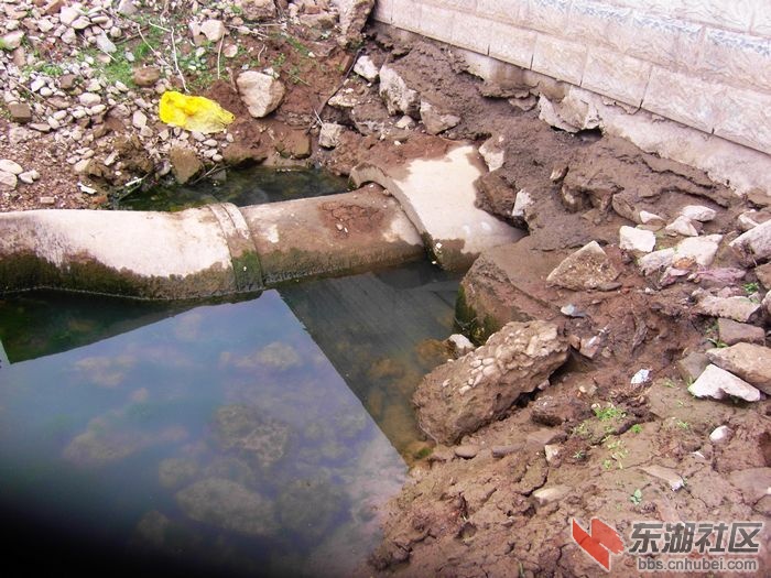 2010111613563142094.jpg