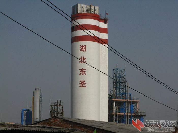 2010112323341480732.jpg