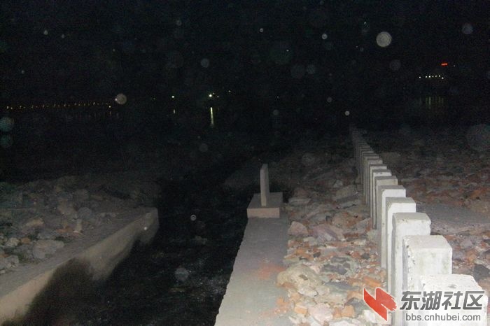 2010112923325478051.jpg