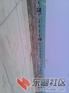 IMG0263A.jpg