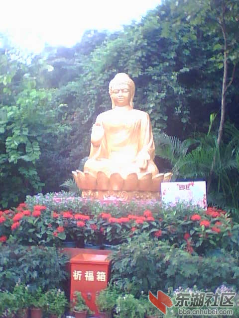 佛光高照