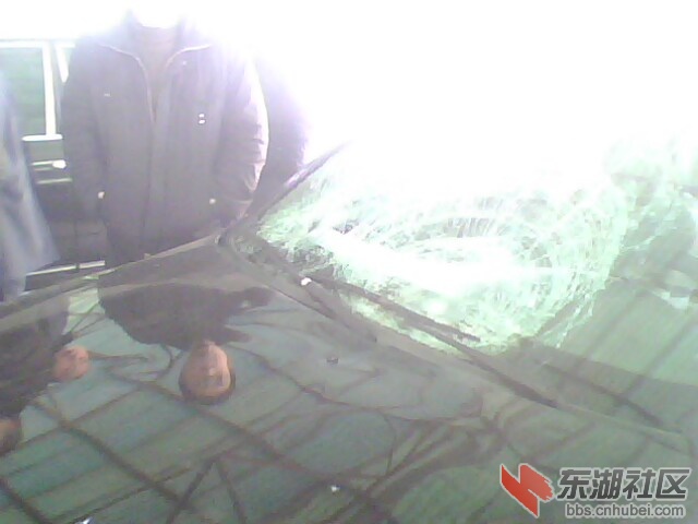 肇事车4鄂S08181.jpg