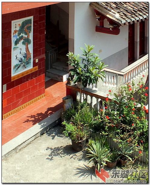 DSCF5394.jpg