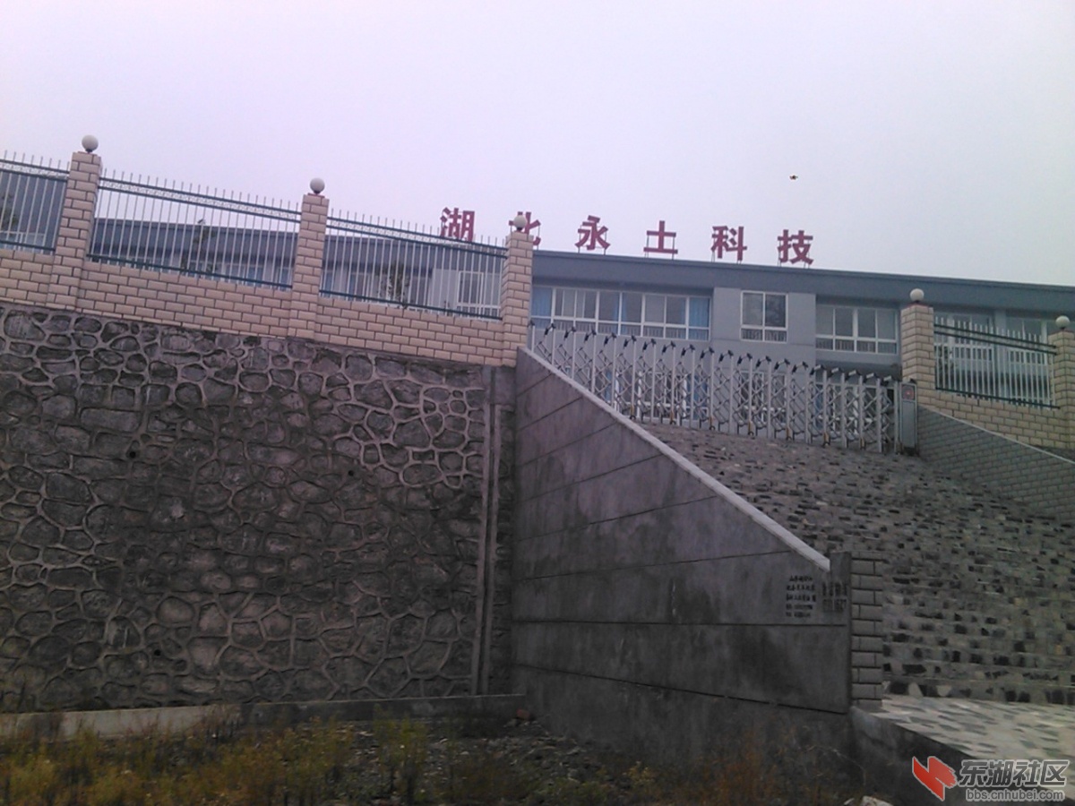 IMG126.jpg