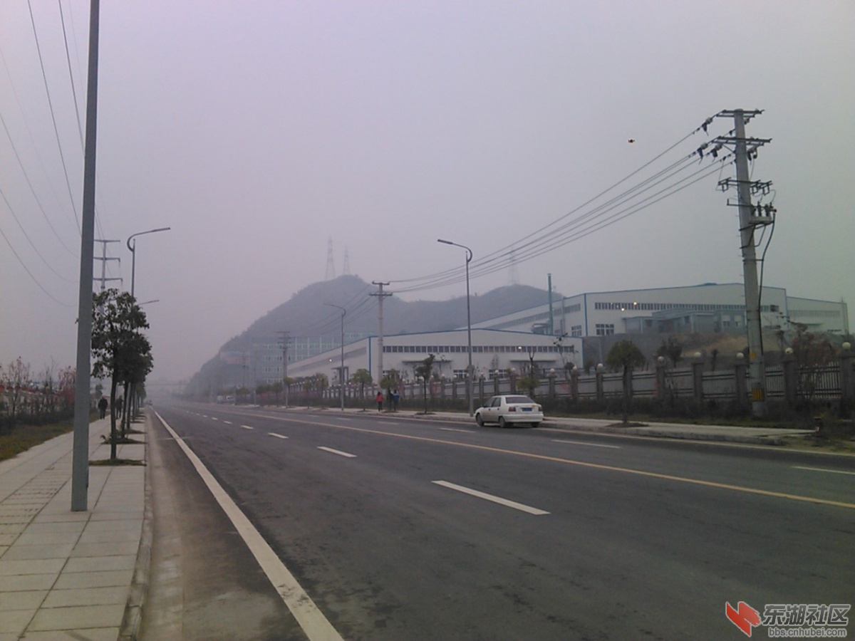 IMG135.jpg