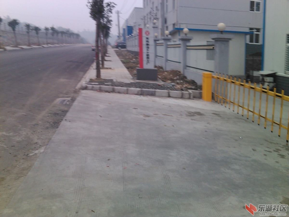 IMG139.jpg