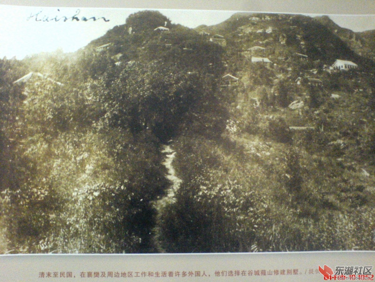 DSC09296.jpg