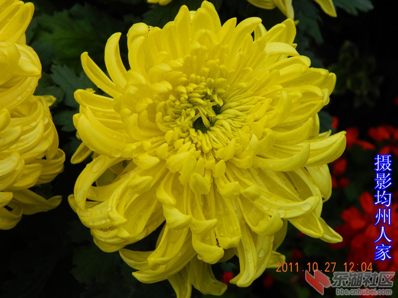 0十月花开图片10.jpg