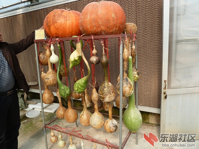 照片 160_副本.jpg