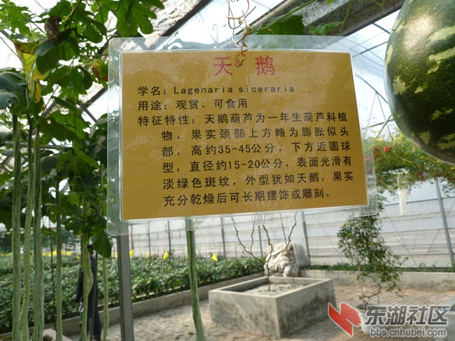 照片 166_副本.jpg
