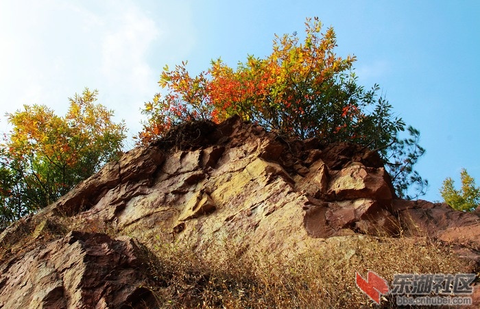 寻梦马河掠影21.jpg