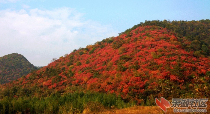 寻梦马河掠影18.jpg