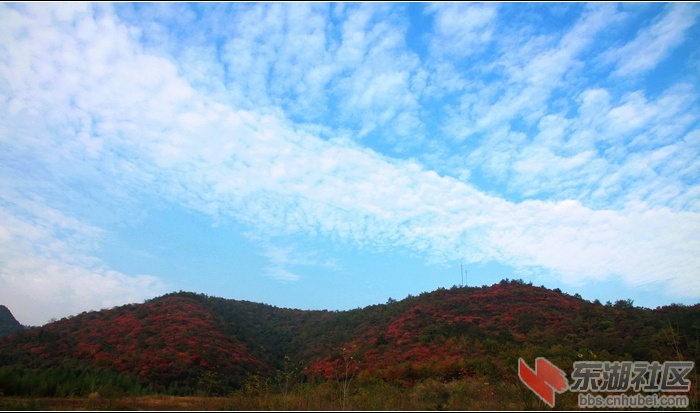 寻梦马河掠影19.jpg