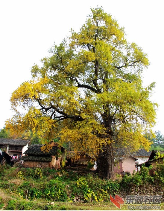 寻梦马河掠影20.jpg