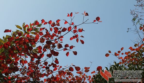 IMG_6564.jpg