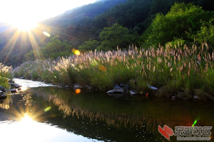 _MG_0118.jpg