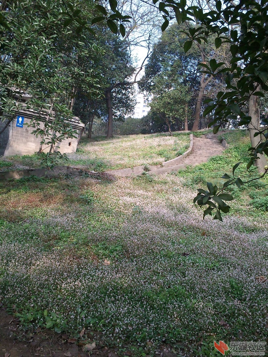 DSC_0049.JPG