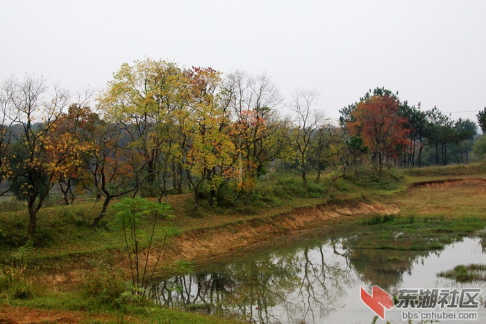 IMG_4090.JPG