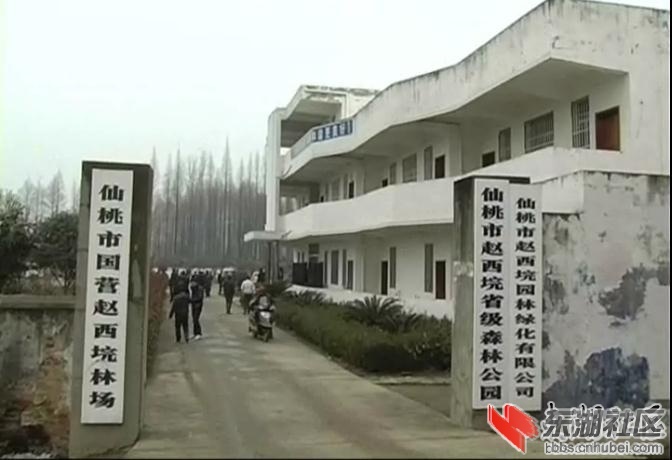 224942t5ftu1iw65u2uppu.jpg