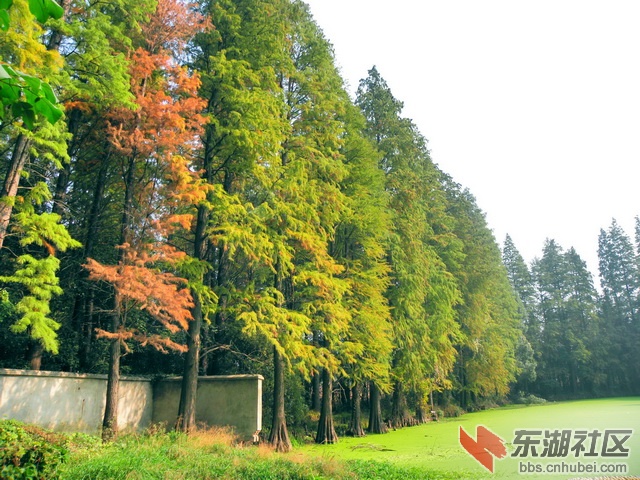 PB179708_调整大小_exposure_resize.JPG