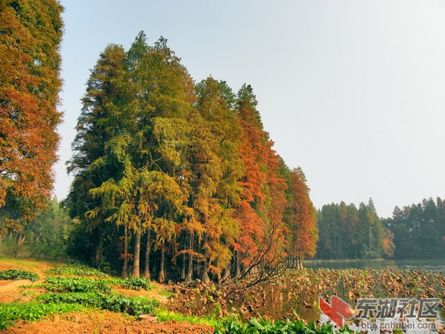 PB179739_调整大小_exposure_resize.JPG