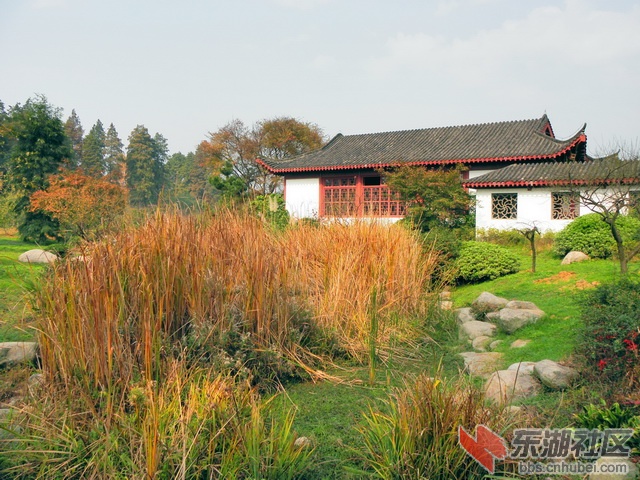 PB179761_调整大小_exposure_resize.JPG