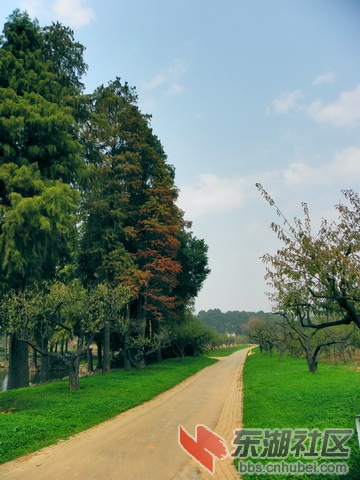 PB179769_调整大小_exposure_resize.JPG