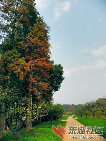 PB179773_调整大小_exposure_resize.JPG