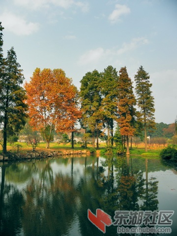 PB179778_调整大小_exposure_resize.JPG