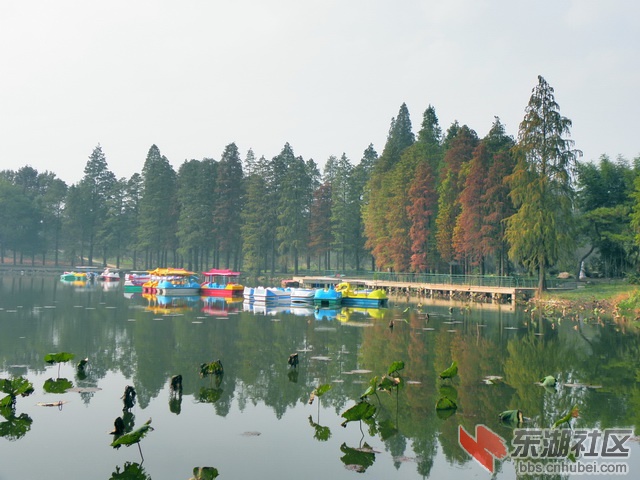 PB179783_调整大小_exposure_resize.JPG