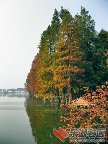 PB179867啊_exposure_resize_resize.jpg