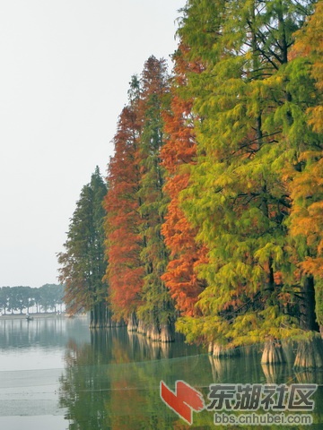 PB179871啊_exposure_resize_resize.jpg