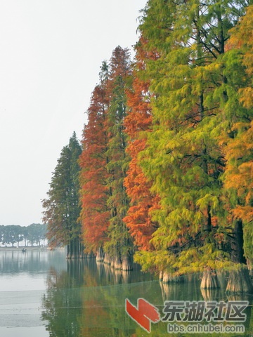 PB179872_调整大小_exposure_resize.JPG
