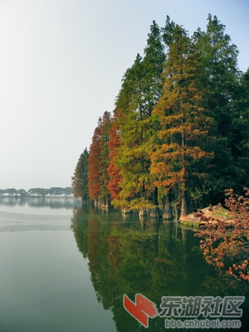 PB179874啊_exposure_resize_resize.jpg