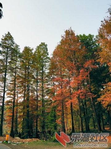 PB179901_调整大小_exposure_resize.JPG