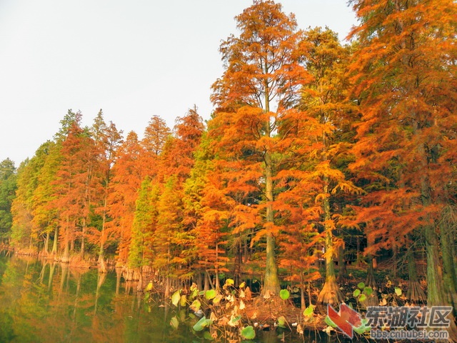 PB179942_调整大小_exposure_resize.JPG