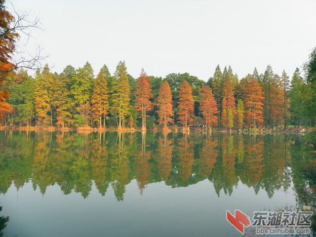 PB179974_调整大小_exposure_resize.JPG