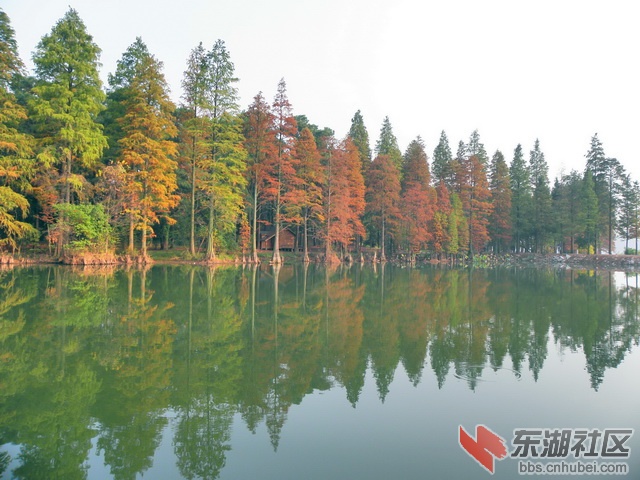 PB170016_resize_exposure_resize.jpg