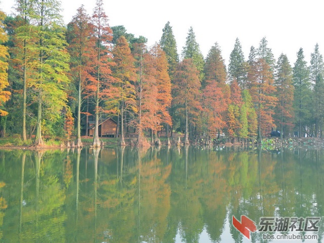PB170027啊_exposure_resize_resize.jpg