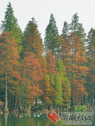 PB170036啊_exposure_resize_resize.jpg