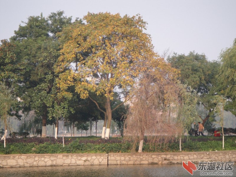 203224wnzoshv3bbo4krss.jpg.thumb.jpg