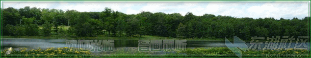 1.gif