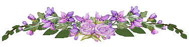 20095279430555.gif