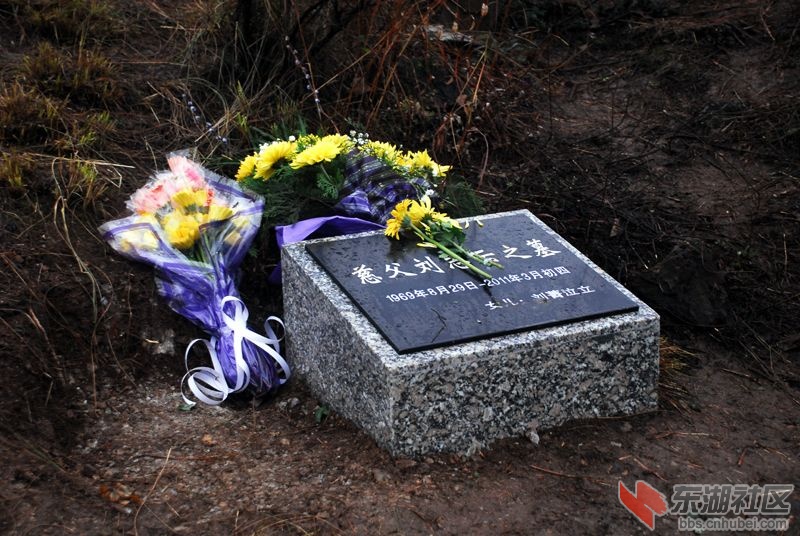 201111187455595361.jpg