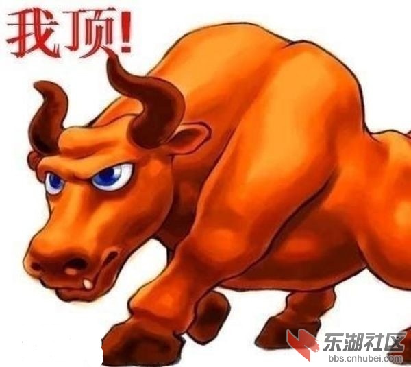 我顶.jpg
